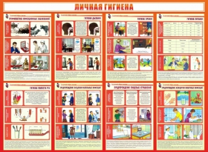 Стенд "Личная гигиена" - fgospostavki.ru - Петропавловск-Камчатский