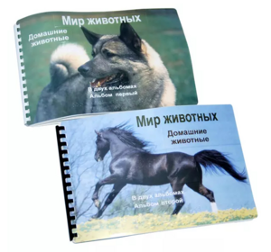 Пособие для слабовидящих - Домашние животные - fgospostavki.ru - Петропавловск-Камчатский