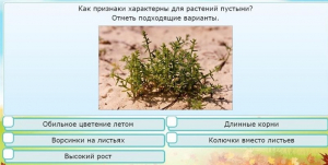 Интерактивные курсы. Окружающий мир 3 класс . Базовый. - fgospostavki.ru - Петропавловск-Камчатский