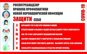 Плакат "Правила профилактики коронавируса" - fgospostavki.ru - Петропавловск-Камчатский