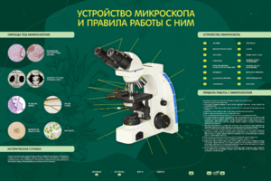 Электрифицированный стенд "Устройство микроскопа и правила работы c ним" - fgospostavki.ru - Петропавловск-Камчатский