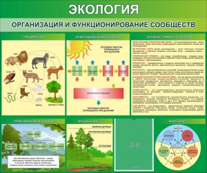 Стенд "Экология. Организация и функционирование сообществ" - fgospostavki.ru - Петропавловск-Камчатский