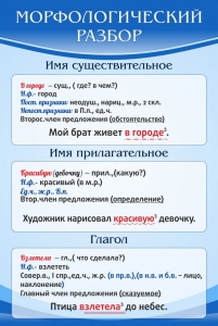 Стенд "Морфологический разбор" - fgospostavki.ru - Петропавловск-Камчатский