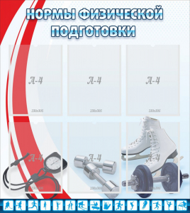 Стенд "Нормы физической подготовки" Вариант 2 - fgospostavki.ru - Петропавловск-Камчатский