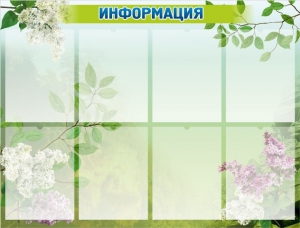 Стенд "Информация" Вариант 13 - fgospostavki.ru - Петропавловск-Камчатский