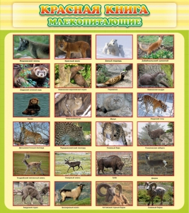 Стенд "Красная книга - млекопитающие" - fgospostavki.ru - Петропавловск-Камчатский
