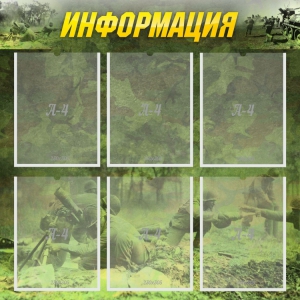 Стенд "Информация" Вариант 5 - fgospostavki.ru - Петропавловск-Камчатский