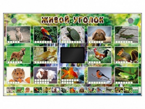 Комплект оборудования "Живой уголок" (животные) - fgospostavki.ru - Петропавловск-Камчатский