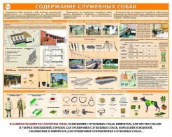 Комплект плакатов "Кинология" - fgospostavki.ru - Петропавловск-Камчатский