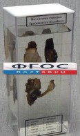 Влажный препарат "Внутреннее строение брюхоногого моллюска" - fgospostavki.ru - Петропавловск-Камчатский