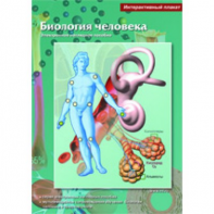 Интерактивные плакаты. Биология человека. Программно-методический комплекс - fgospostavki.ru - Петропавловск-Камчатский