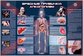 Электрифицированный стенд "Вредные привычки: алкоголизм" - fgospostavki.ru - Петропавловск-Камчатский