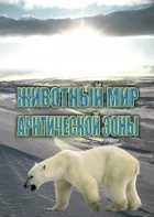 DVD "Животный мир Арктической зоны" - fgospostavki.ru - Петропавловск-Камчатский