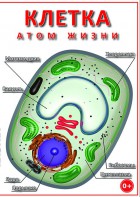 DVD "Клетка - "атом жизни" - fgospostavki.ru - Петропавловск-Камчатский