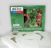 Гербарий "Основные группы растений" (52 листа) - fgospostavki.ru - Петропавловск-Камчатский