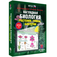 Наглядная биология. 6 класс. Растения. Грибы. Бактерии - fgospostavki.ru - Петропавловск-Камчатский