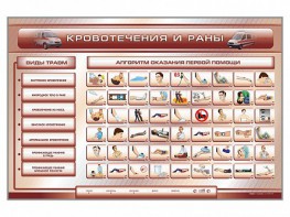 Трехсекционный базовый комплект "Травмы. Кровотечения. Ожоги" для учащихся общеобразовательных учреждений - fgospostavki.ru - Петропавловск-Камчатский