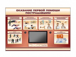 Многофункциональный интерактивный стенд-тренажер "Оказание первой помощи пострадавшим" для учащихся общеобразовательных учреждений - fgospostavki.ru - Петропавловск-Камчатский