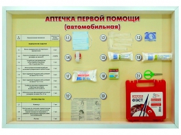 Стенд "Аптечка первой помощи (автомобильная)" (образцы под оргстеклом) - fgospostavki.ru - Петропавловск-Камчатский