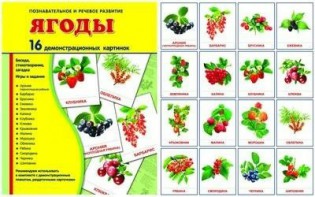 Демонстрационные карточки "Ягоды" - fgospostavki.ru - Петропавловск-Камчатский