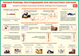 Таблица "Общий порядок оказания первой помощи пострадавшим" (100х140 сантиметров, винил) - fgospostavki.ru - Петропавловск-Камчатский