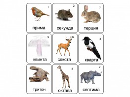 Набор магнитных карточек по музыке "Животные" (9 штук) - fgospostavki.ru - Петропавловск-Камчатский