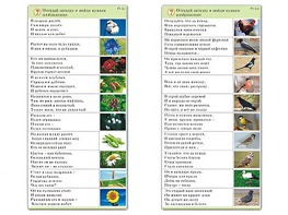 Комплект карточек (10) "Обучающий калейдоскоп. Природа" - fgospostavki.ru - Петропавловск-Камчатский