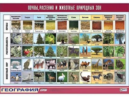 Таблица демонстрационная "Почвы, растения и животные природных зон" (винил 70*100) - fgospostavki.ru - Петропавловск-Камчатский