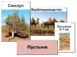 Модель-аппликация "Природные зоны России" (ламинированная) - fgospostavki.ru - Петропавловск-Камчатский
