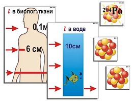 Модель-аппликация "Явление радиоактивности" (ламинированная) - fgospostavki.ru - Петропавловск-Камчатский