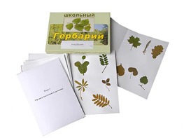 Гербарий "Морфология растений" (6 тем, 30 видов) - fgospostavki.ru - Петропавловск-Камчатский