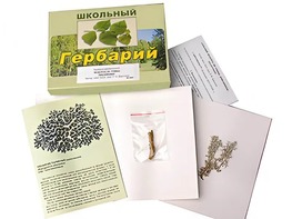 Гербарий "Водоросли. Грибы. Лишайники" (раздаточный) - fgospostavki.ru - Петропавловск-Камчатский