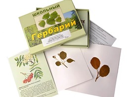 Гербарий "Систематика растений. Семейство Розоцветные" (раздаточный) - fgospostavki.ru - Петропавловск-Камчатский
