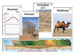 Модель-аппликация "Природные зоны" - fgospostavki.ru - Петропавловск-Камчатский