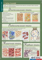 Комплект таблиц. Биология 8-9 класс. Человек. - fgospostavki.ru - Петропавловск-Камчатский