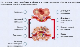 Интерактивные курсы. Биология 9 класс. Расширенный. - fgospostavki.ru - Петропавловск-Камчатский