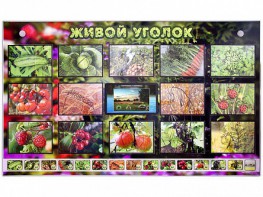 Комплект оборудования "Живой уголок" (растения) с тифлопереводом и сурдокомментариями - fgospostavki.ru - Петропавловск-Камчатский