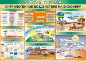 Таблица "Антропогенное воздействие на биосферу" (100х140 сантиметров, винил) - fgospostavki.ru - Петропавловск-Камчатский