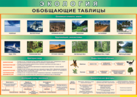 Таблица "Экология. Обобщающие таблицы" (100х140 сантиметров, винил) - fgospostavki.ru - Петропавловск-Камчатский