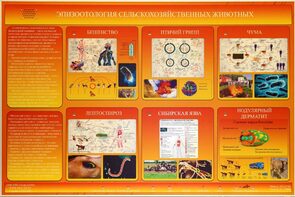 Электрифицированный стенд «Эпизоотология сельскохозяйственных животных» - fgospostavki.ru - Петропавловск-Камчатский