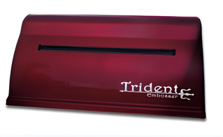 Принтер для печати рельефно-точечным шрифтом Брайля Trident - fgospostavki.ru - Петропавловск-Камчатский
