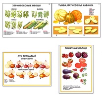Плакаты ПРОФТЕХ "Ассортимент овощных культур" (12 пл, винил, 70х100) - fgospostavki.ru - Петропавловск-Камчатский