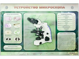 Электрифицированный стенд "Устройство микроскопа и правила работы c ним" - fgospostavki.ru - Петропавловск-Камчатский