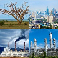 Модель-аппликация Биосфера и человек - fgospostavki.ru - Петропавловск-Камчатский