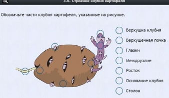 Интерактивные курсы. Биология 6 класс. Расширенный - fgospostavki.ru - Петропавловск-Камчатский