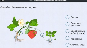 Интерактивные курсы. Биология 7 класс. Расширенный. - fgospostavki.ru - Петропавловск-Камчатский