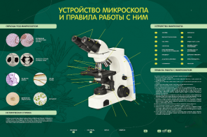 Электрифицированный стенд "Устройство микроскопа и правила работы c ним" - fgospostavki.ru - Петропавловск-Камчатский