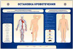 Электрифицированный стенд-тренажер "Остановка кровотечения" - fgospostavki.ru - Петропавловск-Камчатский
