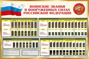Стенд "Воинские звания в вооруженных силах РФ" - fgospostavki.ru - Петропавловск-Камчатский