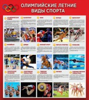 Стенд "Олимпийские летние виды спорта" - fgospostavki.ru - Петропавловск-Камчатский